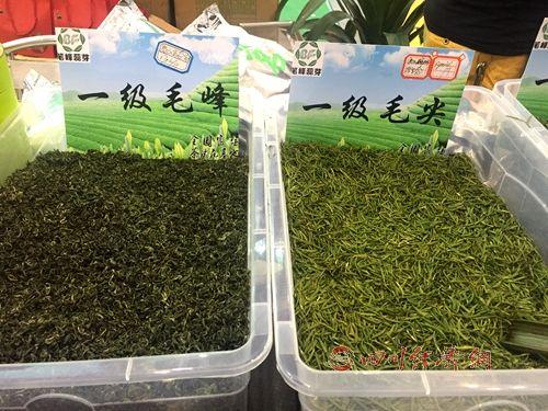 巴中有机富硒茶受茶博会青睐